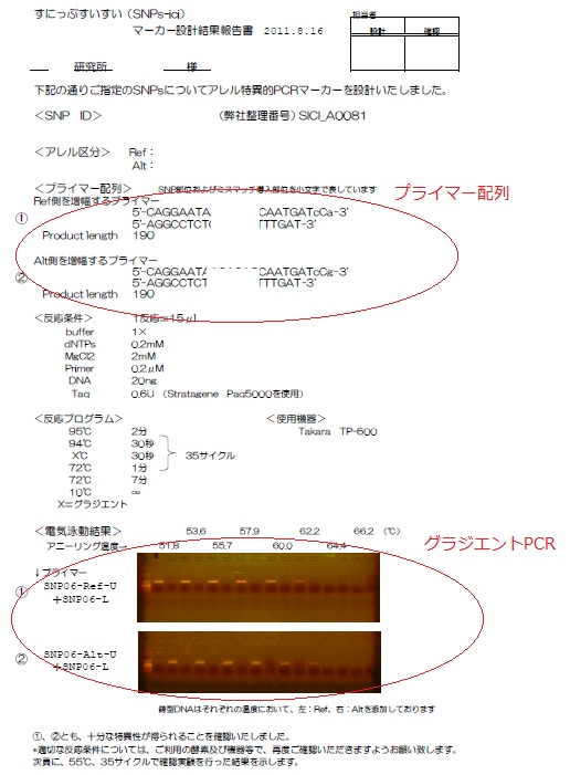 報告書表