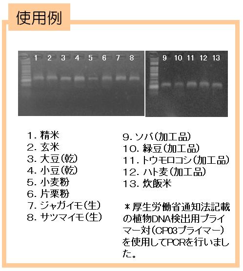 DNA-suisuiS
