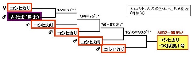 KTK1おいたち図