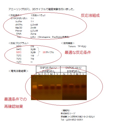 報告書裏